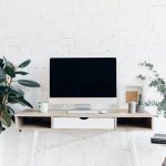 Figovník, nazývaný aj fikus, je ozdobou interiéru. Ako ho pestovať?