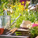 V čom tkvie tajomstvo zdravých a prosperujúcich rastlín? Vysaďte ich na správne stanovište!