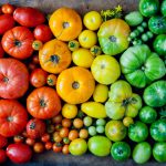 4 kroky k zdravým rajčinám z vlastnej úrody