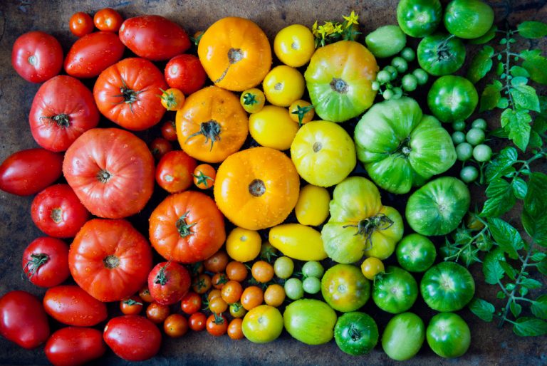 4 kroky k zdravým rajčinám z vlastnej úrody