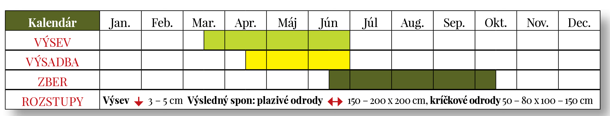 Cuketu môžete vysievať aj v júni. Poradíme vám, ako ju pestovať a pripraviť