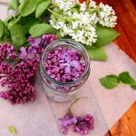 Využite poslednú možnosť nazbierať si voňavý orgován