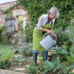 Bioochrana záhrady svojpomocne: Týchto 30 rastlín vám pomôže
