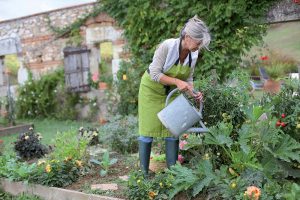Bioochrana záhrady svojpomocne: Týchto 30 rastlín vám pomôže