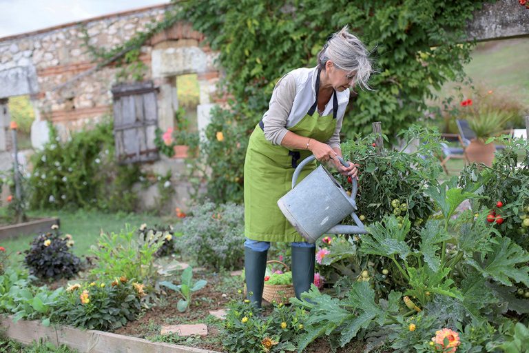 Bioochrana záhrady svojpomocne: Vyskúšajte overené recepty, týchto 30 rastlín vám pomôže!