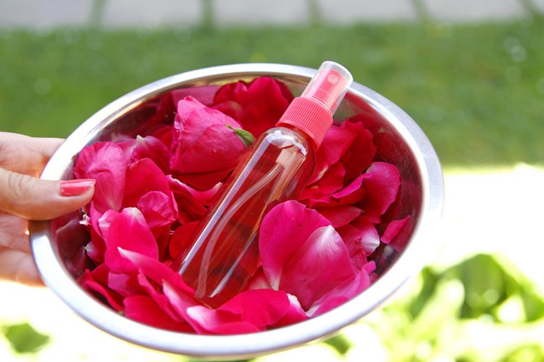 Zužitkujte ruže nielen na krásu, ale aj pre zdravie. Vyrobte si ružovú pleťovú vodu, čaj či sirup