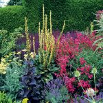 Okrasný záhon plný liečivých byliniek