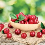 Brusnice v miske na stole