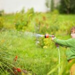 Ako efektívne polievať záhradu v lete