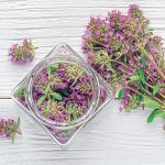 Materina dúška na bielom drevenom podklade, časť v sklenenom pohári