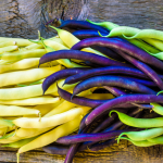 Fazuľové struky žlté, fialové a zelené položené na drevenom stole