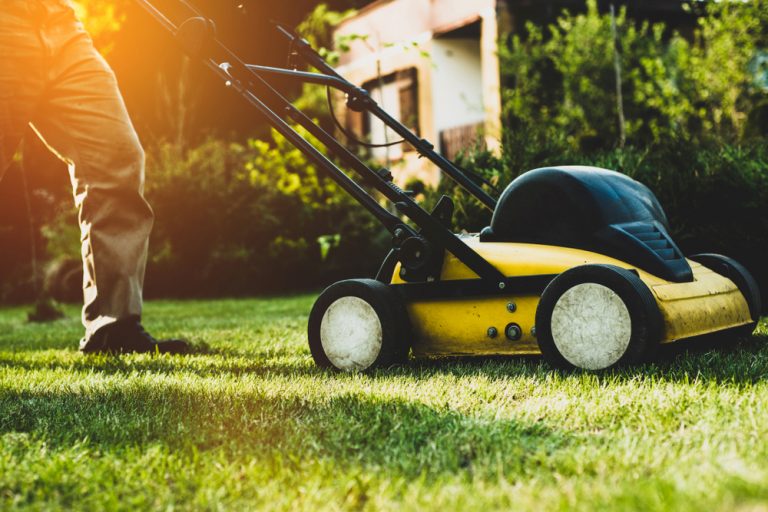 Údržba trávnika na konci leta: 7 rád, ako to nepokaziť