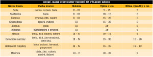 Tabuľka cibuľovín vhodných na výsadbu do nádob