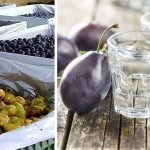 Ovocie v bedničkách a pálenka