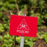 10 najtoxickejších rastlín na svete. Sedem z nich rastie aj na Slovensku!