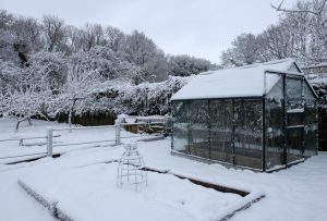 Úžitková záhrada počas zimy