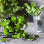 Mäta v plechovom vedierku