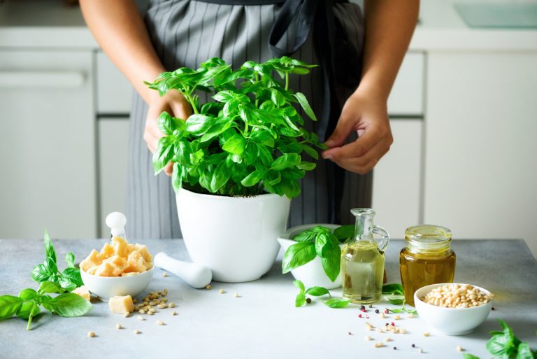 Bazalka patrí medzi základné bylinky v kuchyni. Viete ju pestovať?