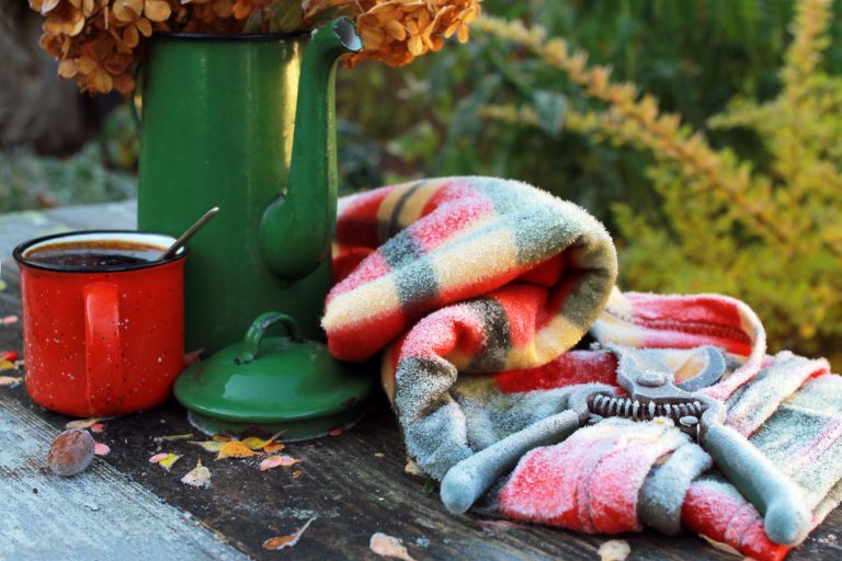 Lunárny kalendár pre záhradkárov - február 2020