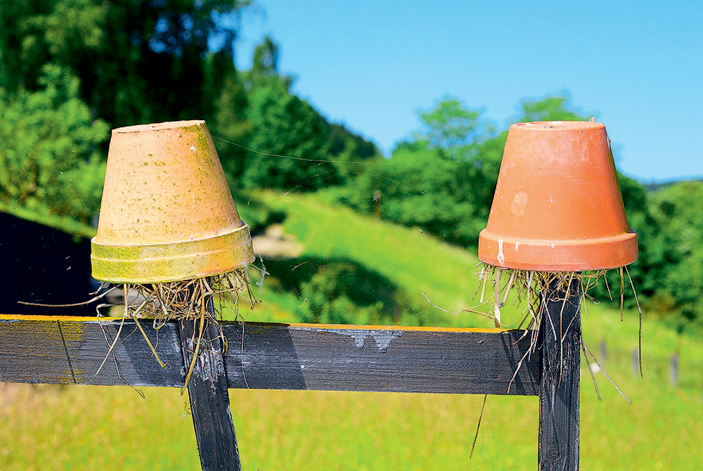 shutterstock_203838145