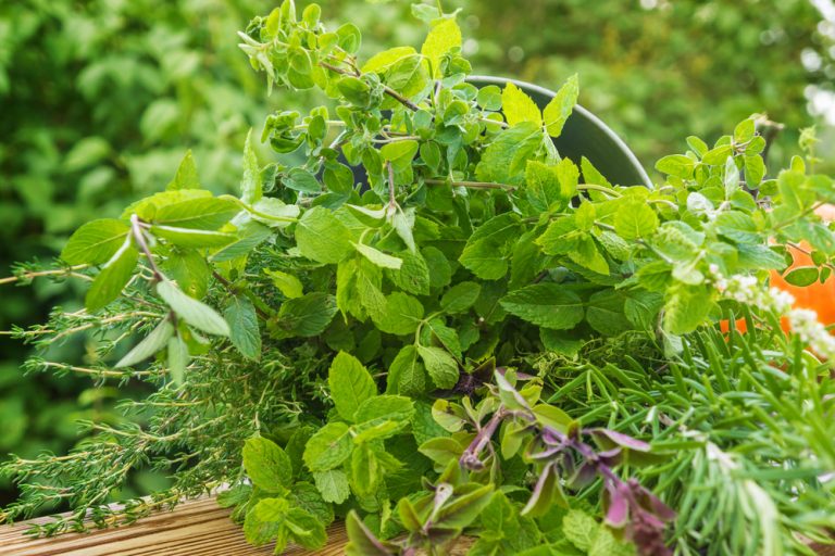 Túžite po bylinkách v záhrade? Vyrobte si rýchlo a jednoducho bylinkovú špirálu!