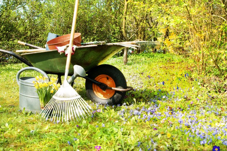 Nezabudli ste na tieto marcové práce? Ešte stále ich stíhate urobiť!