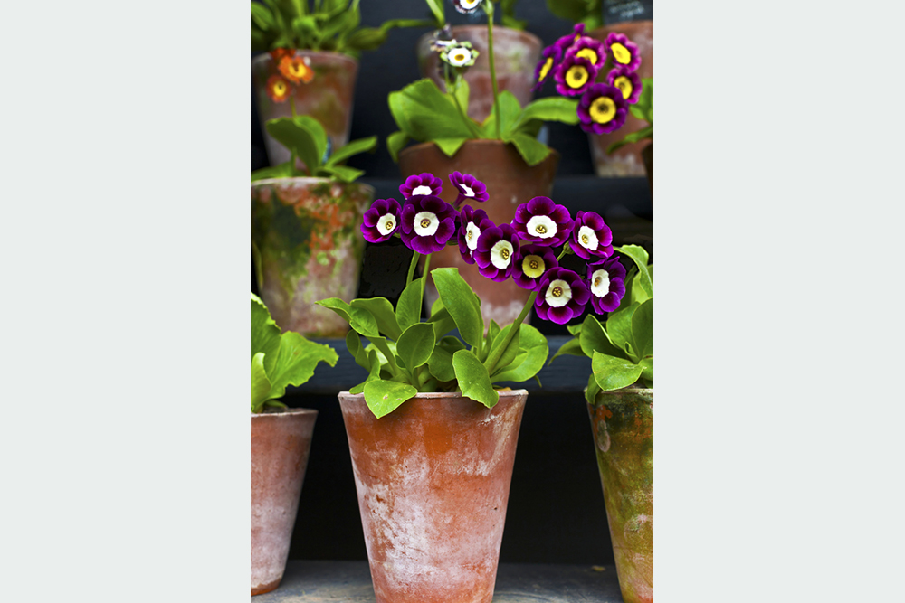 shutterstock_190963367