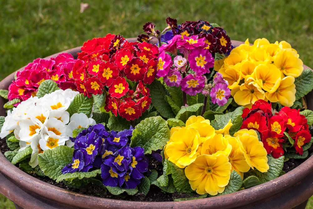 shutterstock_278121116