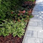 Trvalky v tieni pri chodníku