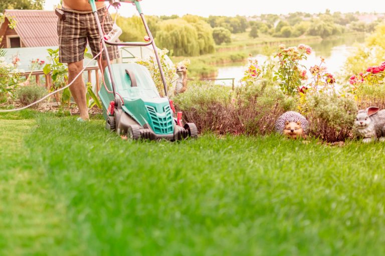 Ako a čím oddeliť kvetinový záhon od trávnika?