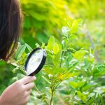 Dieťa s lupou v ruke