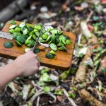Kompostujme správne. Je to ekologické a jednoduché