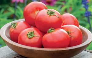 Veľké červené paradajky, odroda Crimson Crush