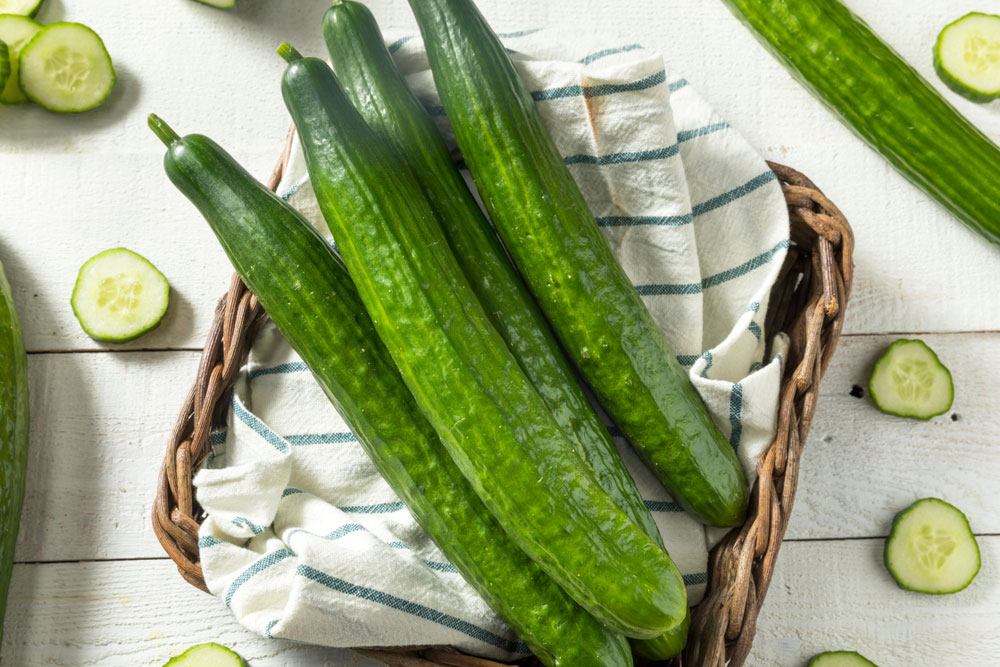 shutterstock_1058462660