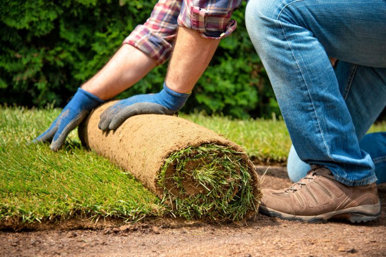 Martin Čurda radí: Na čo si dať pozor pri pokladaní trávneho koberca