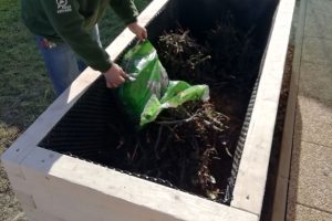 Sypanie biologického odpadu na dno vyvýšeného záhona