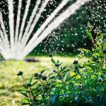 Ako a kedy správne zalievať záhradu