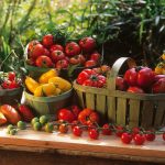 Paradajková sezóna je tu: 8 receptov na ich spracovanie
