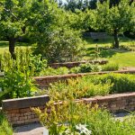 Prehľad najčastejších letných chorôb a škodcov v úžitkovej záhrade