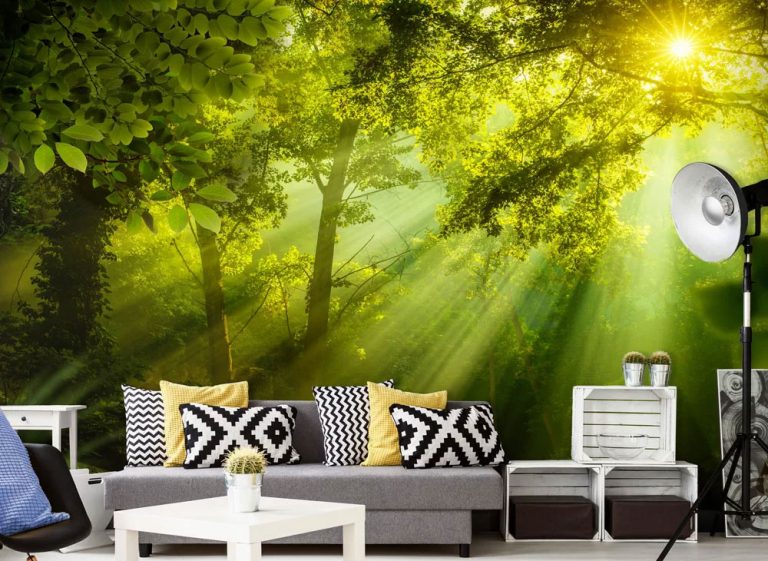 Preneste kus prírody k vám domov