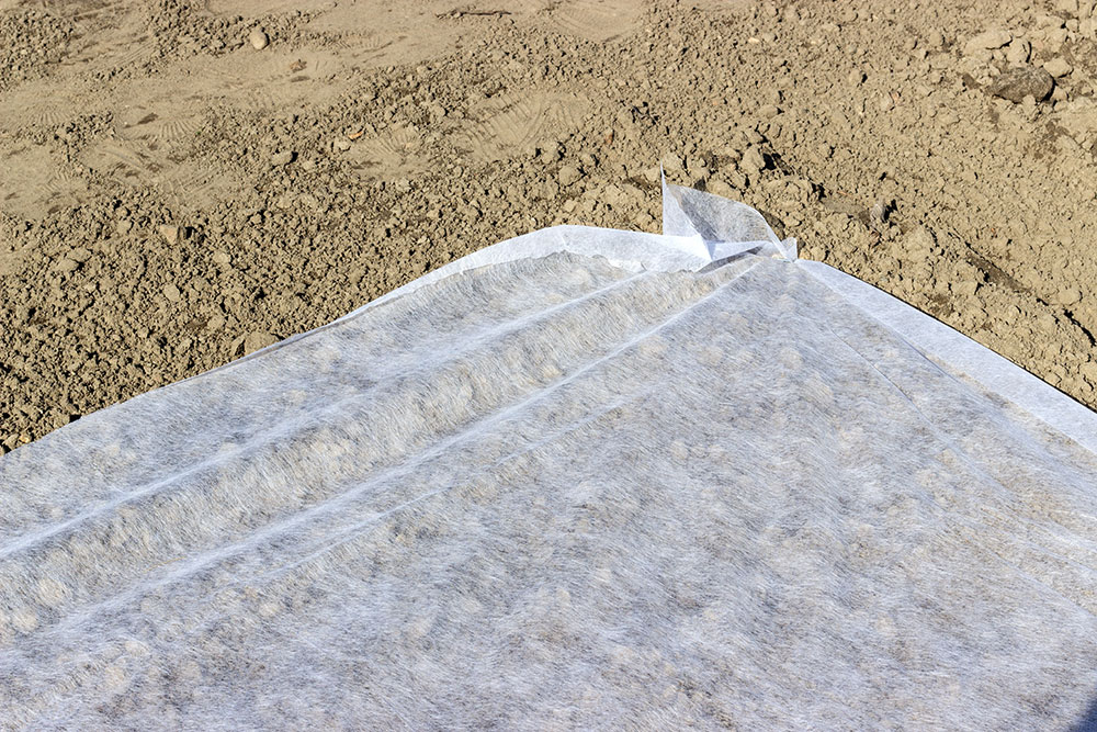 shutterstock_1068820100