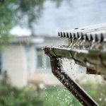 Efektívne proti suchu: Zadržte vodu na pozemku a mulčujte