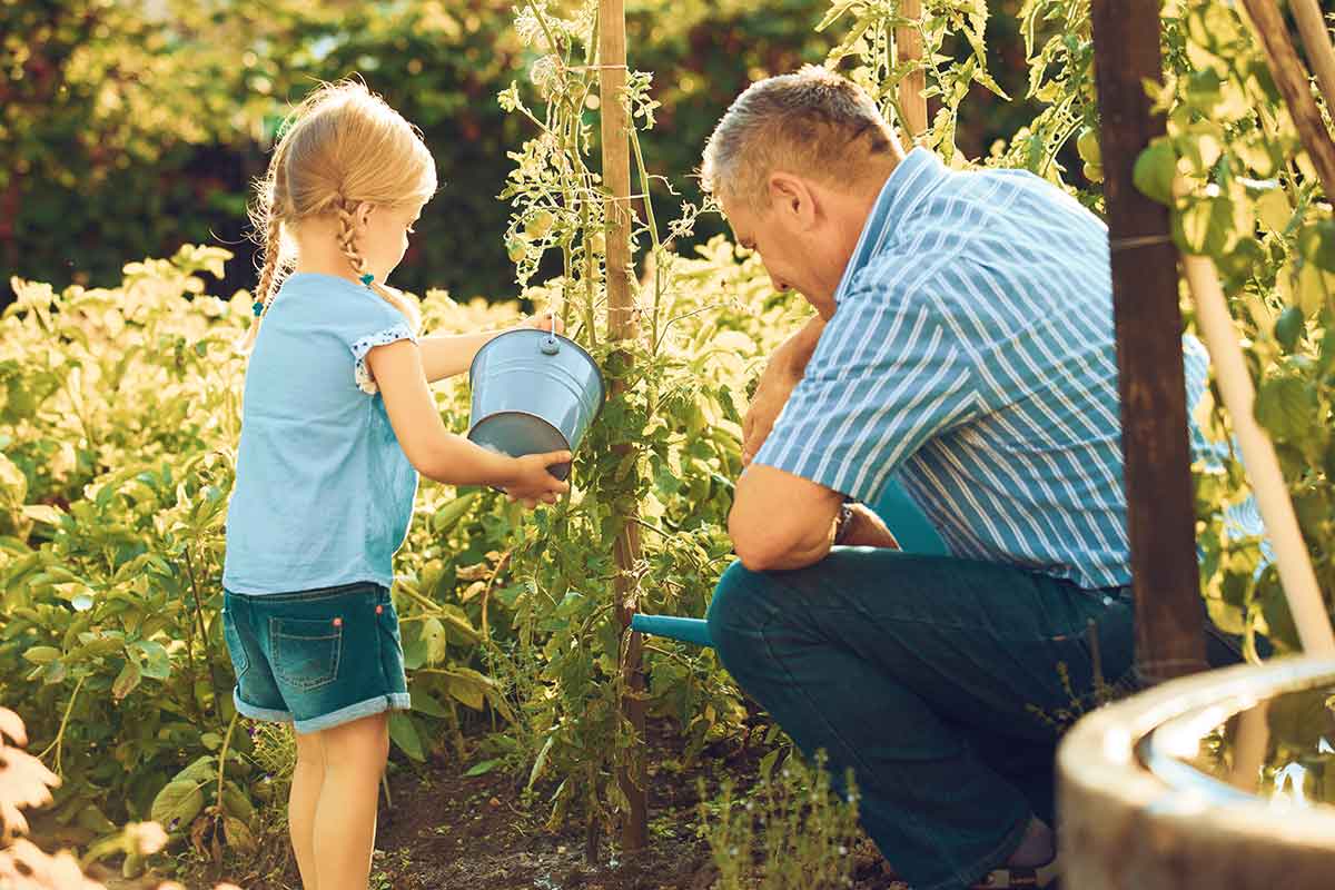 Dedko s vnučkou polievajú zeleninu v záhrade