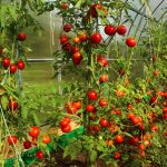 shutterstock 112920823