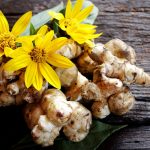 shutterstock 1530955895