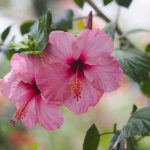 shutterstock 1683755617