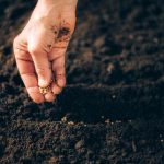 shutterstock 1740688505