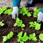 shutterstock 370689629