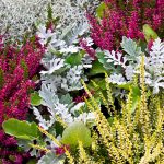 shutterstock 427984264