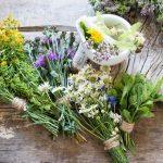 shutterstock 517309279